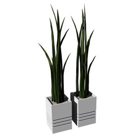 2 plants 3D Object | FREE Artlantis Objects Download